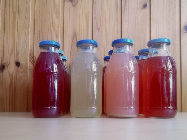 kombucha-fermentazione-completata